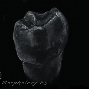 Проект "Shade of morphology"