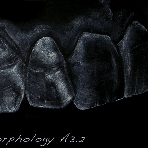 Проект "Shade of morphology"