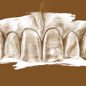 Проект "Shade of morphology"
