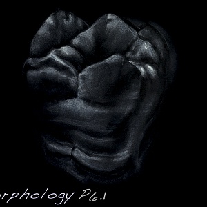 Проект "Shade of morphology"