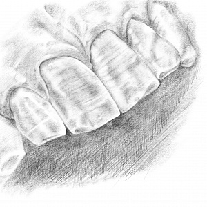 Проект "Shade of morphology"