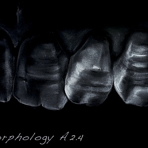 Проект "Shade of morphology"