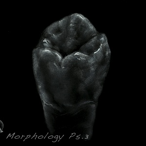Проект "Shade of morphology"