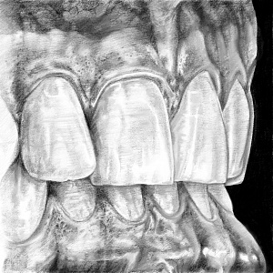 Проект "Shade of morphology"