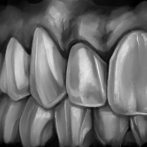 Проект "Shade of morphology"